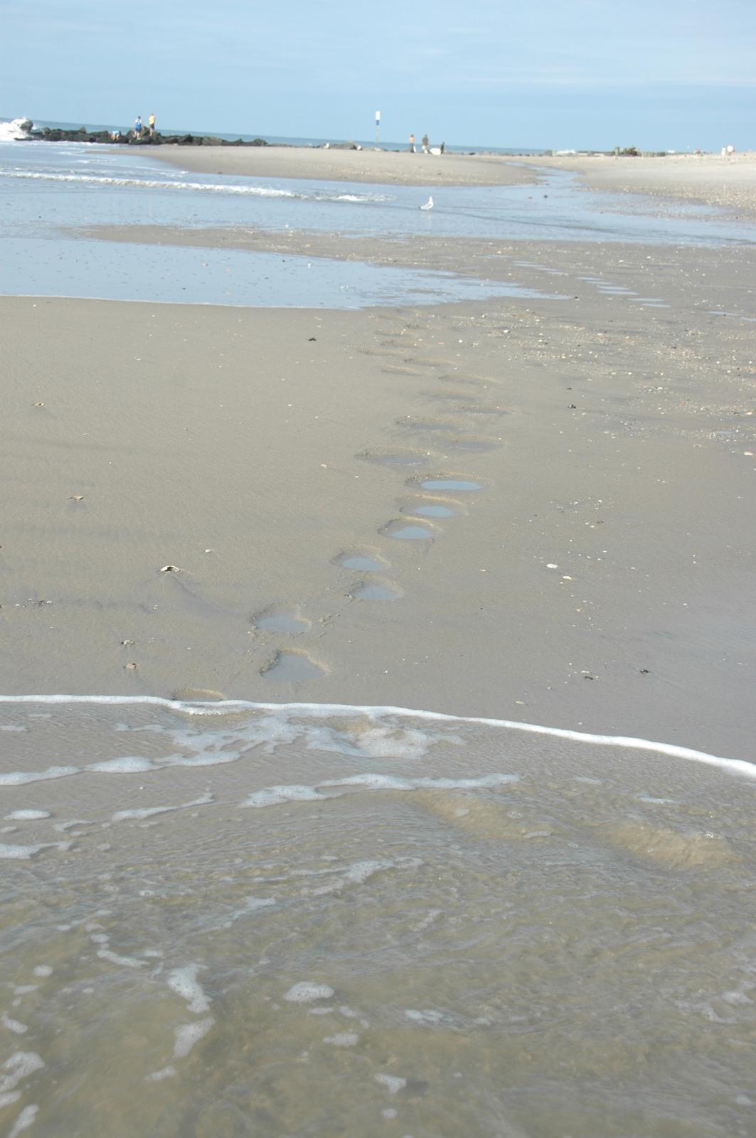 cape_footprints_5206.jpg