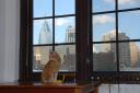 shaul_in_philly_window_7980-128.jpg