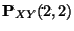 ${\bf P}_{XY}(2,2)$
